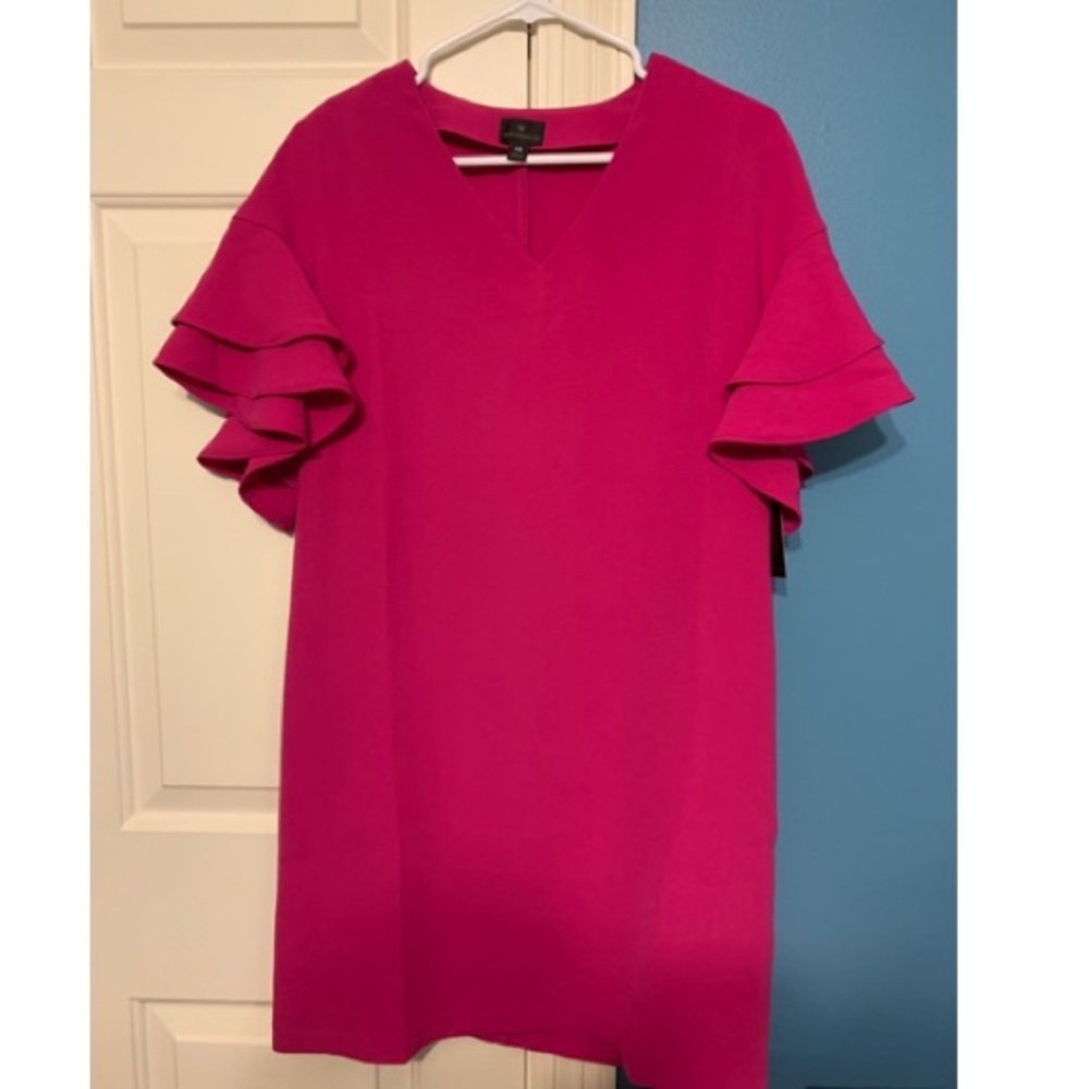 Ruffle Sleeve Dress